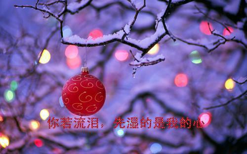 游惠州西湖日记作文范文