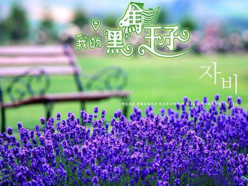 宁安如梦小说（姜雪宁谢危）全文在线阅读免费大结局_宁安如梦小说最新章节列表（姜雪宁谢危）
