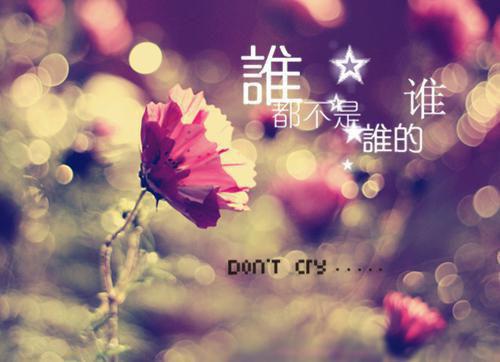 精选好书桑泞岑衍深全文免费阅读大结局_桑泞岑衍深（桑泞岑衍深）完整版在线赏析