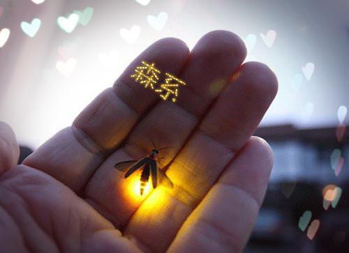 过期的洋桔梗全文免费阅读全文免费许渊无弹窗大结局_(过期的洋桔梗许渊)过期的洋桔梗免费许渊无弹窗最新章节列表(许渊)