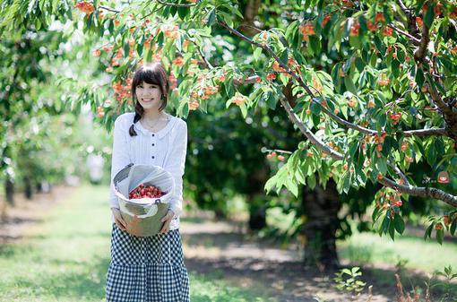用动物编写童话故事300字