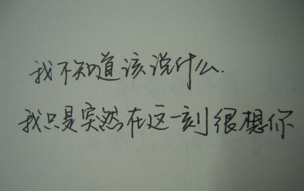 会计学本科生个人简历范文