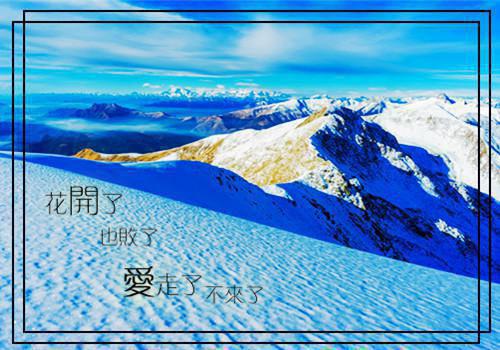 七零：恶毒美人总是被疯批觊觎无广告 陆昭叶文姝在线免费阅读