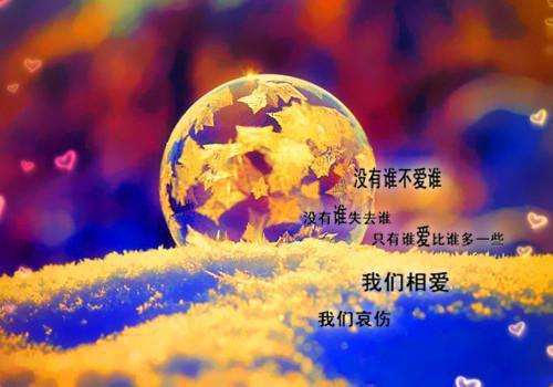 八零蜜宠：穿成恶毒亲妈绝不洗白陆建西沈知星全局已完结_八零蜜宠：穿成恶毒亲妈绝不洗白陆建西沈知星全局最新章节