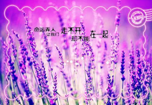 关于春天童话故事
