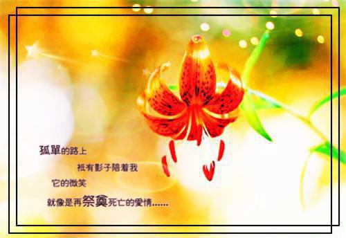 幼儿教师简历空白表格