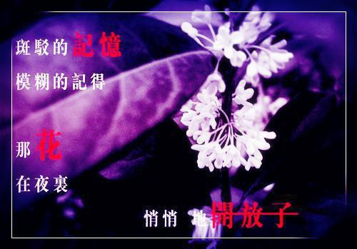 冬天的裙子的故事