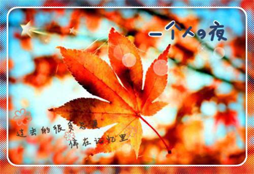 自编童话小故事300字文字版