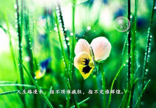 让你的生活更有趣的书籍推荐