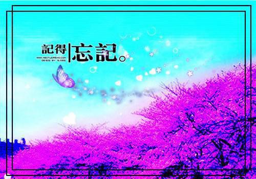 书名：苏棠洛之南全本资源免费阅读结局无删节主角：洛之南苏棠全文阅读无弹窗