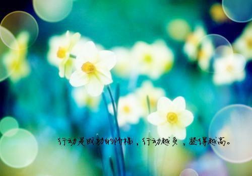 瞎子开局逆风翻盘，抱得校花归章节目录- 陈安洛诗雨全文免费大结局