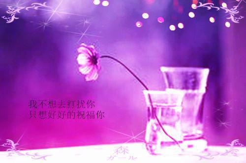 感动中学生的经典励志故事