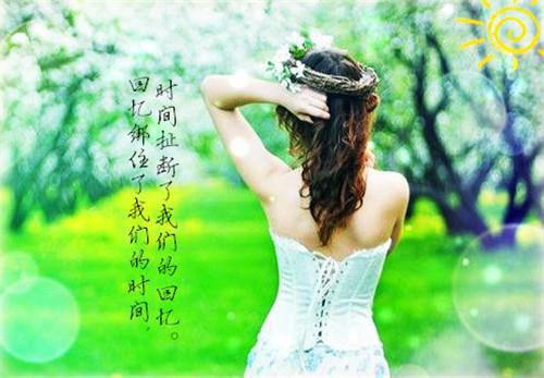 他的爱与烟火同逝：全文+完整版+畅读无广（贺凌沈云漪）完结阅读无弹窗大结局_贺凌沈云漪：全文+完整版最新章节列表（他的爱与烟火同逝）