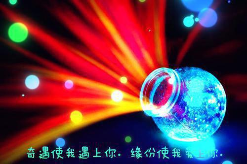 昔日长枪落马归陆长赢：结局+番外（陆长赢赵扶雪）全文免费阅读无弹窗大结局_（陆长赢赵扶雪）昔日长枪落马归陆长赢：结局+番外免费阅读无弹窗最新章节列表（昔日长枪落马归陆长赢：结局+番外）