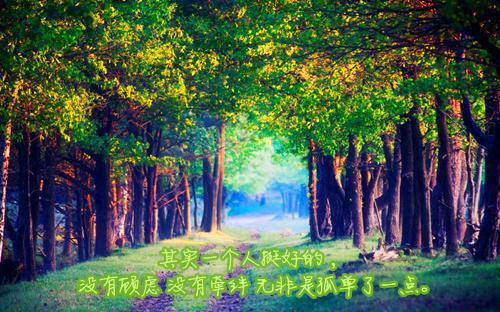 江北无间无广告 虞向西孟冉虞肖北在线免费阅读