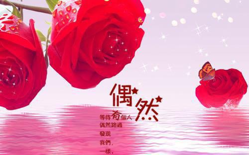 全本小说宋南初司屹by三慕里免费阅读