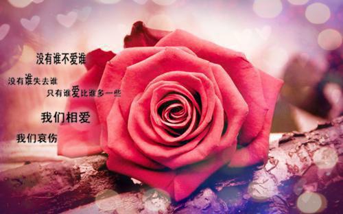 生产技术主任求职简历表格