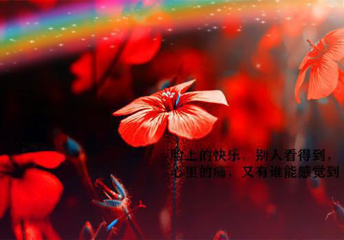 失去了所有包括你(许诺)全文免费阅读无弹窗大结局_(许诺)失去了所有包括你免费阅读无弹窗最新章节列表(失去了所有包括你)