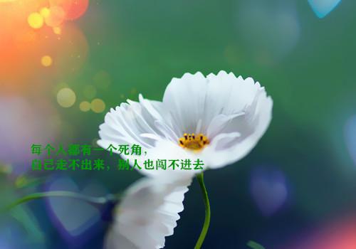 00后青春励志歌曲大全00后的经典青春励志歌曲介绍