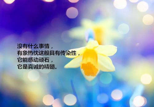快穿娇软万人迷深陷疯批修罗场正版最新小说（白雪娇）全文阅读