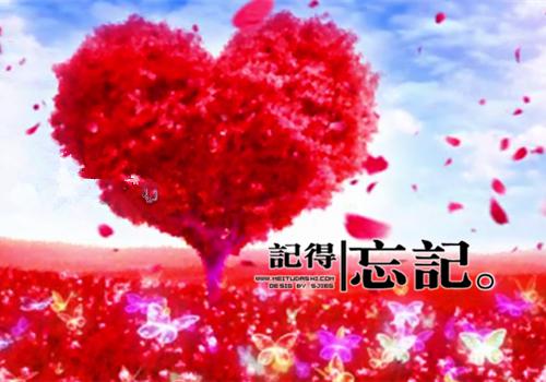 1311（乘风少年）最新章节_1311（乘风少年）全文免费阅读