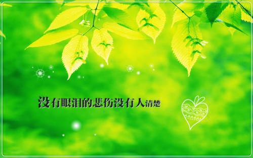 音乐编辑个人简历模板