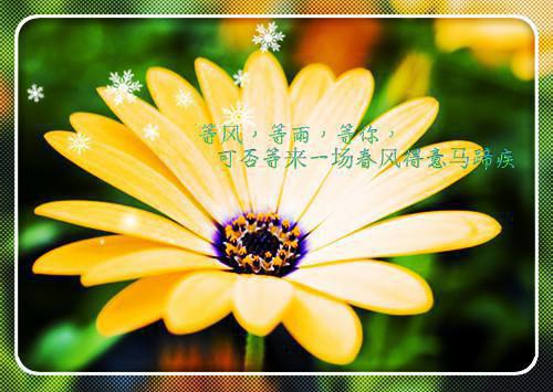 白语顾青川最新章节免费 白语顾青川在线阅读
