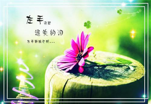 娘家明珠（祁明远祁菲）全文免费阅读无弹窗大结局_(娘家明珠)娘家明珠免费阅读无弹窗最新章节列表（娘家明珠）