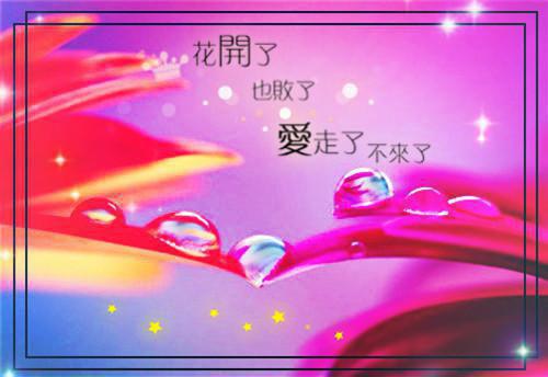 应聘空白简历