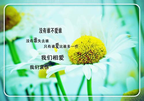 石人最新章节_石人全文免费阅读