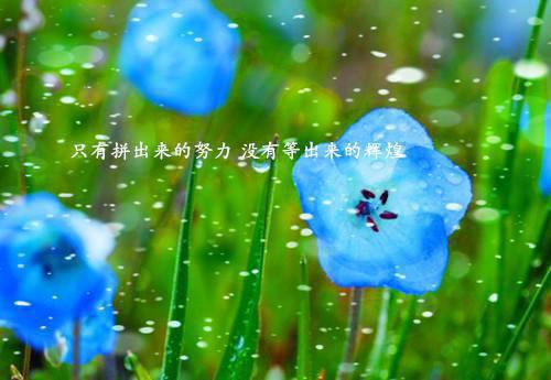 全本网游：超级天赋之boss（树下,箭矢,黄纹）最新章节列表_全本网游：超级天赋之boss全文阅读