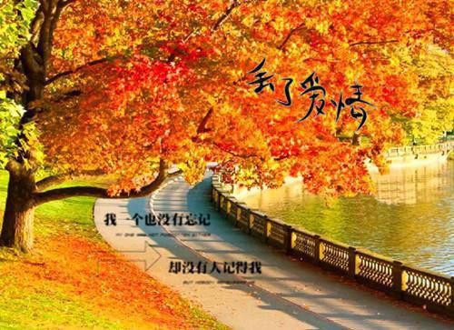 顾青莞赵璟琰最新章节_顾青莞赵璟琰全文免费阅读