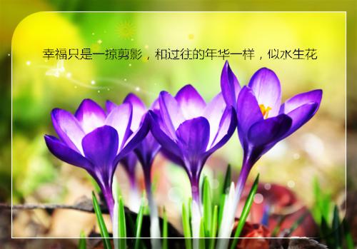顾辞谢清音向婉宁全章节+无弹窗（向婉宁顾辞谢清音免费阅读）全文免费阅读大结局_顾辞谢清音向婉宁最新后续