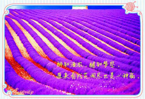 工业工程师英文个人简历模板