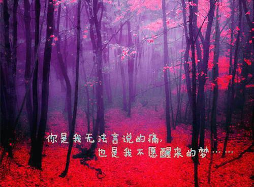 苏斋月顾江阳是什么小说的主人公 苏斋月顾江阳免费阅读