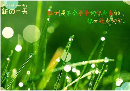 花清予秦言之（岁岁长相见花清予秦言之）全文免费阅读无弹窗大结局_(花清予秦言之岁岁长相见花清予秦言之免费阅读全文大结局)最新章节列表（花清予秦言之）