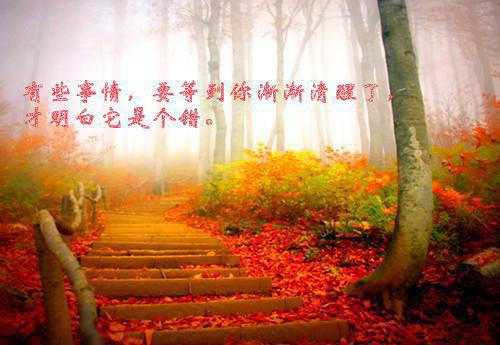 简单好看的书籍有哪些