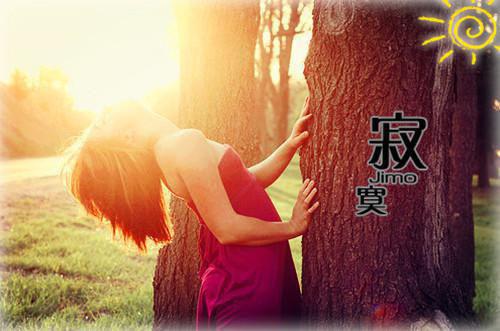 经典睡前故事的内容精选