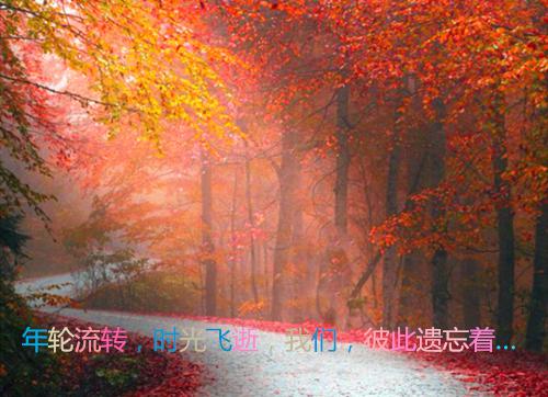 人气小说顶替反攻顶替反攻创在线阅读-正版小说《顶替反攻》顶替反攻全文阅读
