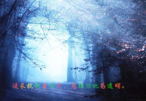 宋知意程皓年小说（宋知意程皓年）全文免费阅读无弹窗_宋知意程皓年小说最新小说（宋知意程皓年）