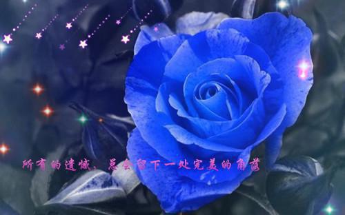和高冷霸总闪婚后，我乖乖女人设不保最新章节_和高冷霸总闪婚后，我乖乖女人设不保全文免费阅读