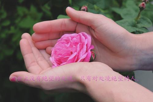 张汐音周易宏（张汐音周易宏）全文免费阅读无弹窗大结局_张汐音周易宏最新章节列表（张汐音周易宏）