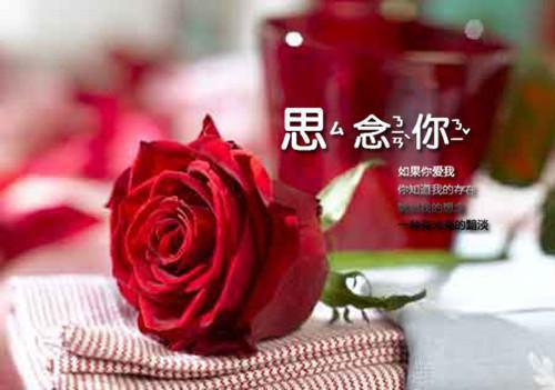 龙啸八荒最新章节_龙啸八荒全文免费阅读
