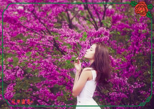 人气小说曲荞之宋夷安（宋夷安曲荞之）在线阅读-正版小说《曲荞之宋夷安》宋夷安曲荞之全文免费阅读