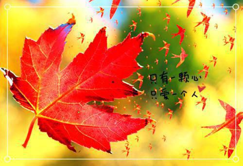 幼儿讲的成语故事