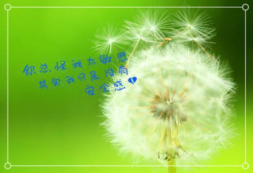 林凡吕紫嫣最新章节_林凡吕紫嫣全文免费阅读