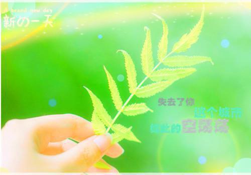 执着爱情故事