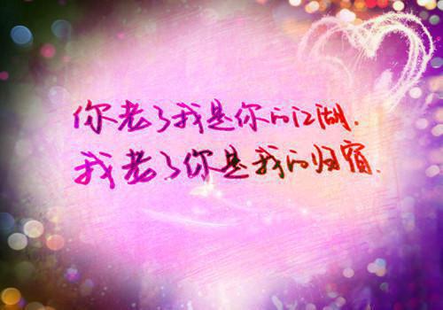 萧柠徐初最新章节_萧柠徐初全文免费阅读