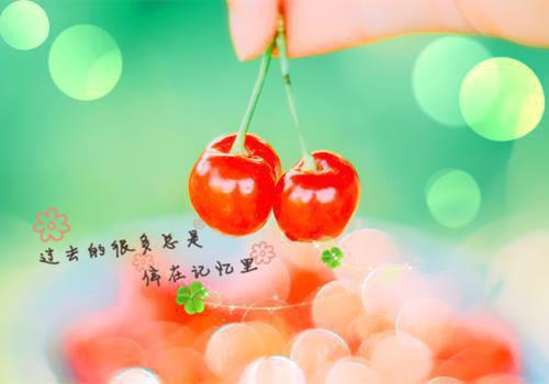 品牌推广顾问个人简历模板范文