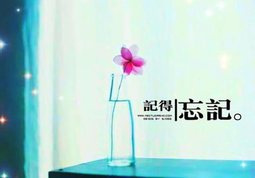 路迟迟的小说彼岸有涯，风月无声萧御怜儿全文在线阅读
